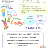 Intensivos de Inglés y summer school 2014